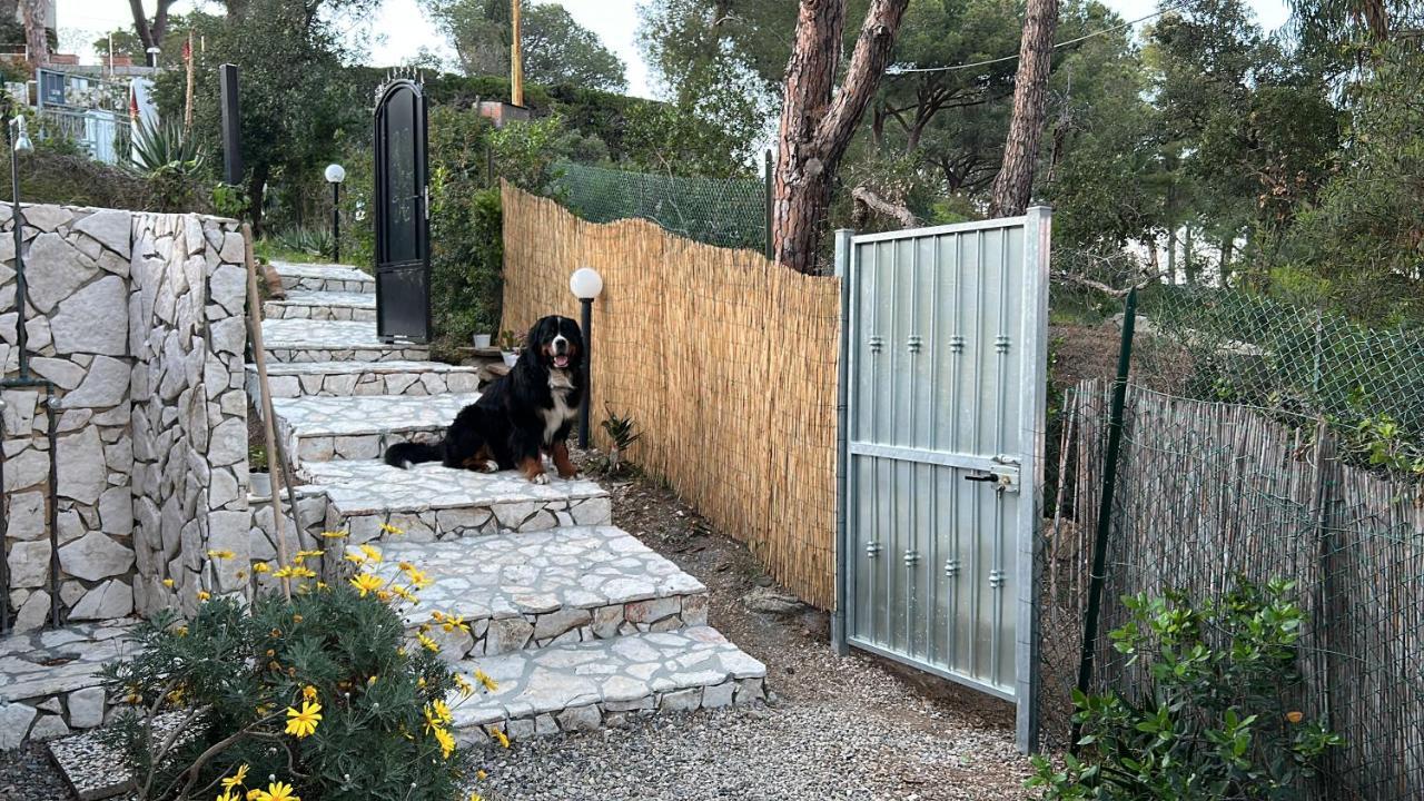 Suosogno Sul Mare 200Metri Dalla Spiaggia Capoliveri (Isola d'Elba) Exterior foto